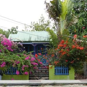 Meet your Posher, Penelope